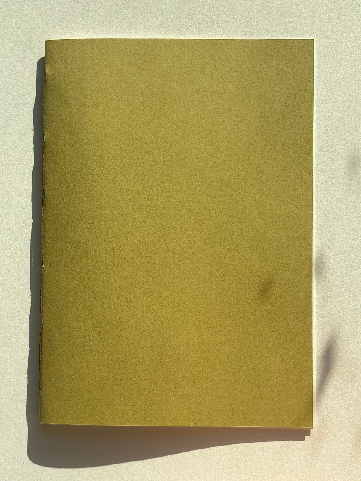 Notatnik gładki - Olive green