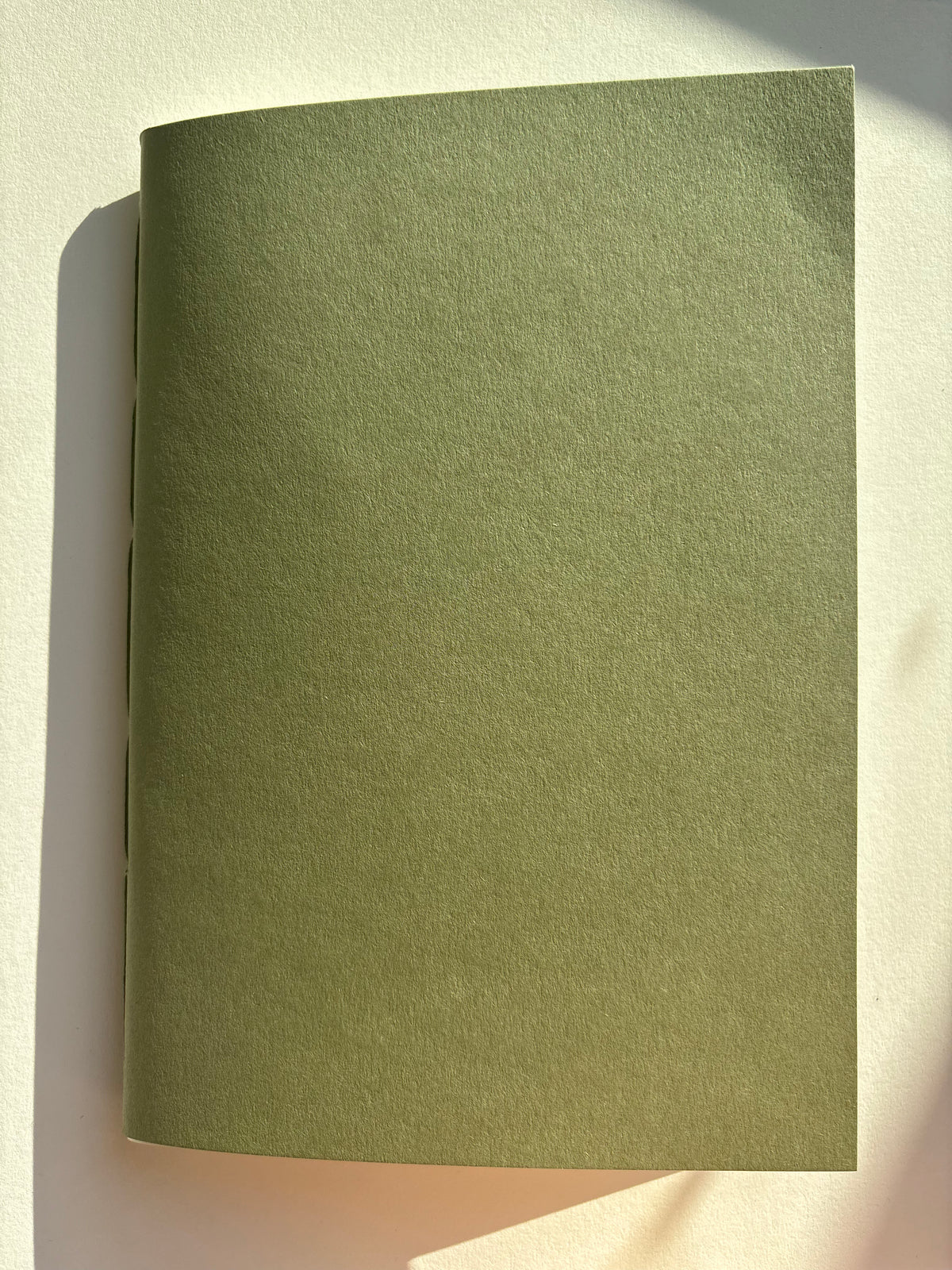 Notatnik gładki - Sage green